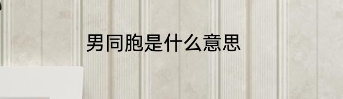 男同胞是什么意思