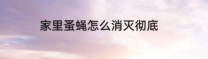 家里蚤蝇怎么消灭彻底