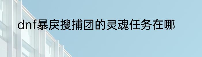 dnf暴戾搜捕团的灵魂任务在哪