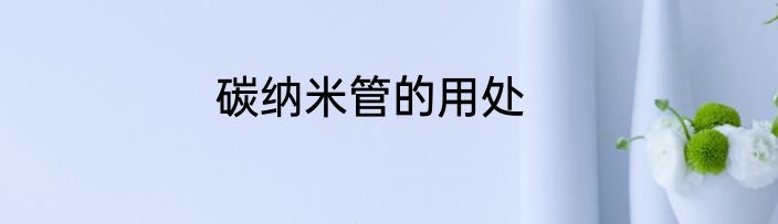 碳纳米管的用处