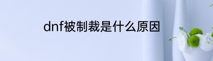 dnf被制裁是什么原因