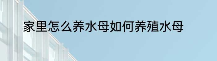 家里怎么养水母如何养殖水母
