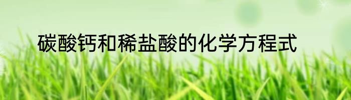 碳酸钙和稀盐酸的化学方程式