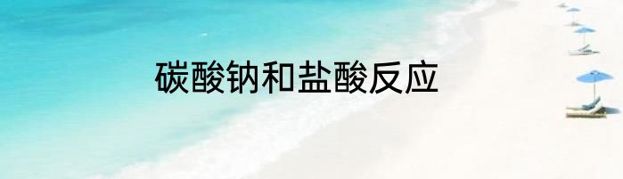 碳酸钠和盐酸反应