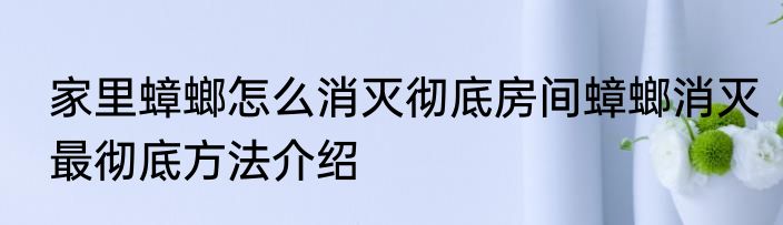 家里蟑螂怎么消灭彻底房间蟑螂消灭最彻底方法介绍