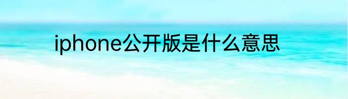 iphone公开版是什么意思
