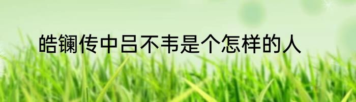 皓镧传中吕不韦是个怎样的人