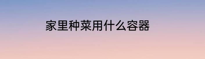 家里种菜用什么容器