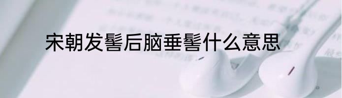 宋朝发髻后脑垂髻什么意思