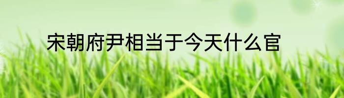 宋朝府尹相当于今天什么官
