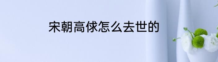 宋朝高俅怎么去世的