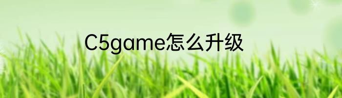 C5game怎么升级
