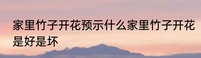 家里竹子开花预示什么家里竹子开花是好是坏