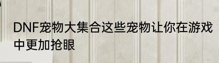 DNF宠物大集合这些宠物让你在游戏中更加抢眼