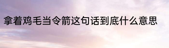 拿着鸡毛当令箭这句话到底什么意思