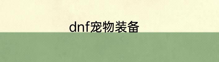 dnf宠物装备