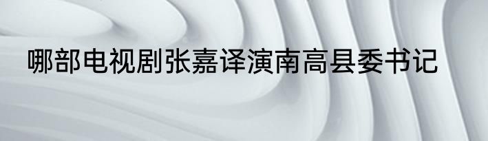 哪部电视剧张嘉译演南高县委书记