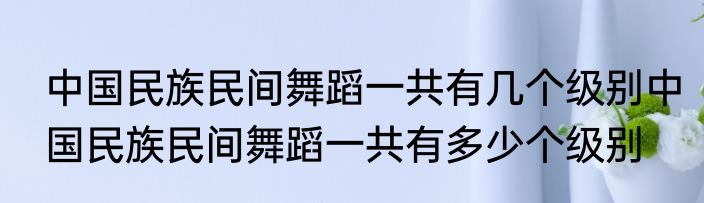 中国民族民间舞蹈一共有几个级别中国民族民间舞蹈一共有多少个级别