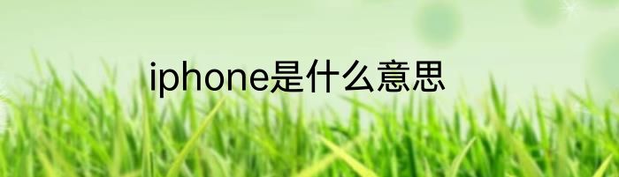 iphone是什么意思