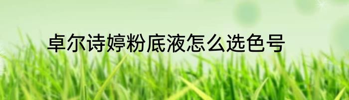 卓尔诗婷粉底液怎么选色号