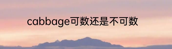 cabbage可数还是不可数