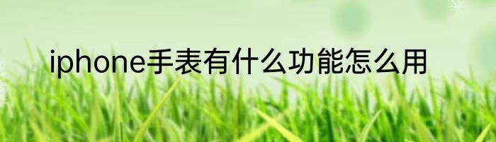 iphone手表有什么功能怎么用