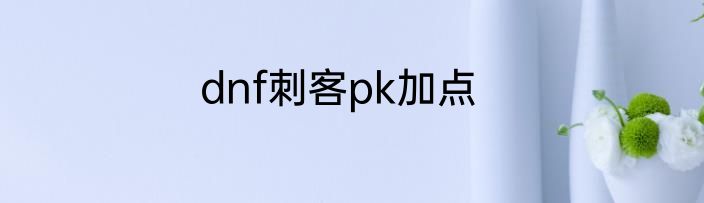 dnf刺客pk加点