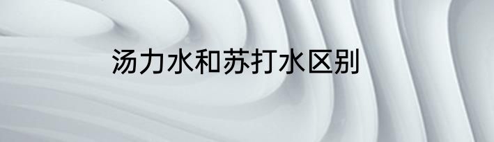 汤力水和苏打水区别