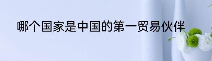 哪个国家是中国的第一贸易伙伴