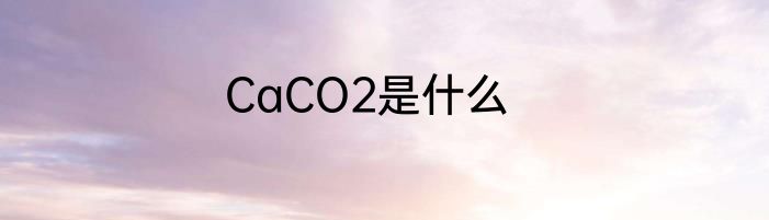 CaCO2是什么