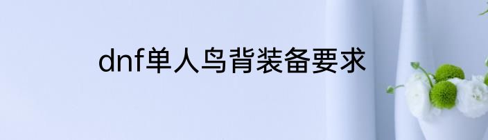 dnf单人鸟背装备要求
