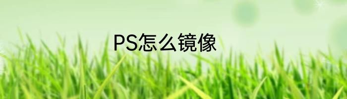 PS怎么镜像