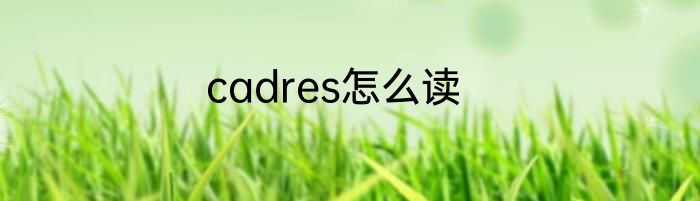 cadres怎么读