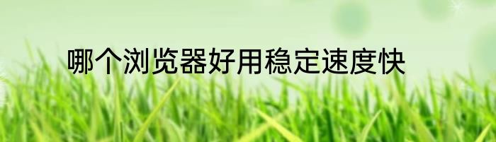哪个浏览器好用稳定速度快