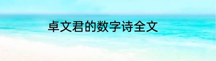 卓文君的数字诗全文