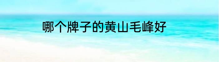 哪个牌子的黄山毛峰好