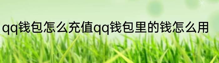 qq钱包怎么充值qq钱包里的钱怎么用