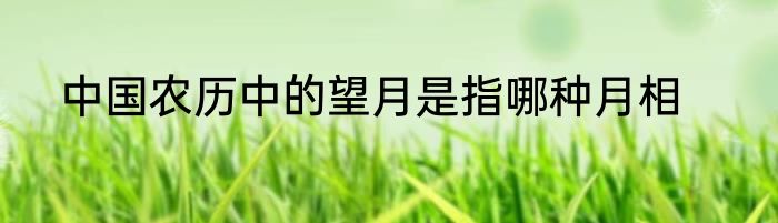 中国农历中的望月是指哪种月相