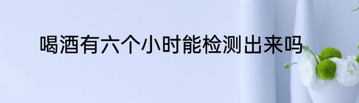 喝酒有六个小时能检测出来吗