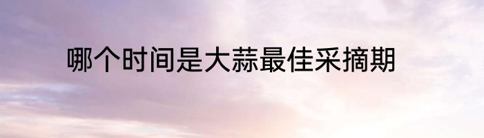 哪个时间是大蒜最佳采摘期