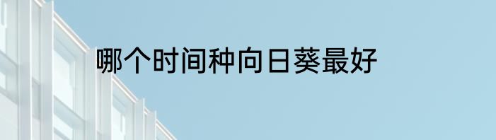 哪个时间种向日葵最好