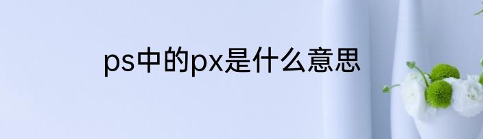 ps中的px是什么意思