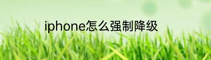 iphone怎么强制降级