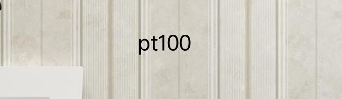 pt100