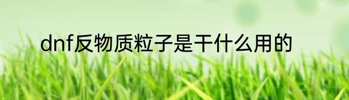 dnf反物质粒子是干什么用的