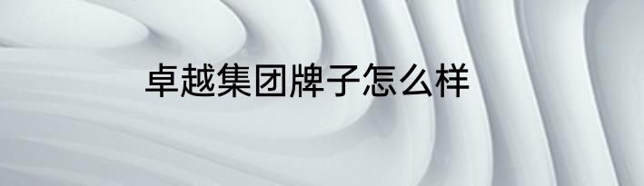 卓越集团牌子怎么样
