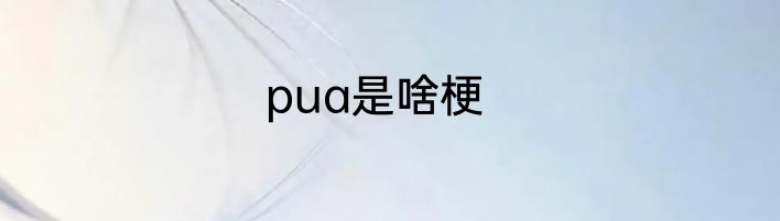 pua是啥梗