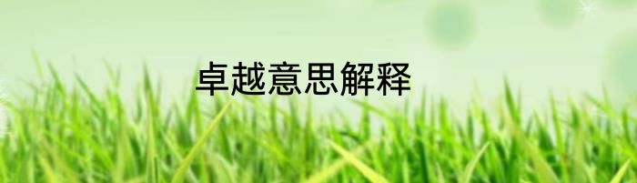 卓越意思解释