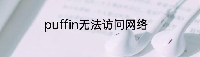 puffin无法访问网络