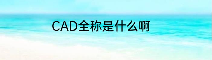 CAD全称是什么啊